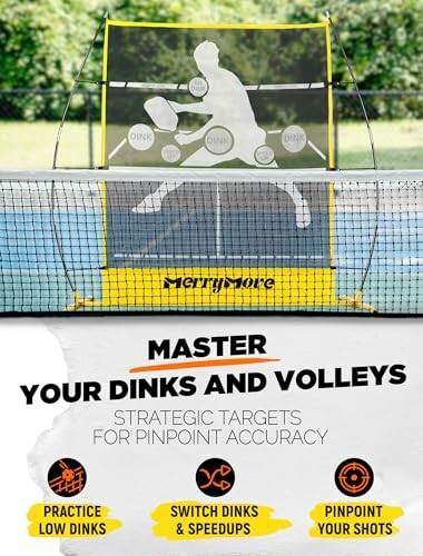 Pickleball target net for practicing dinks and volleys.