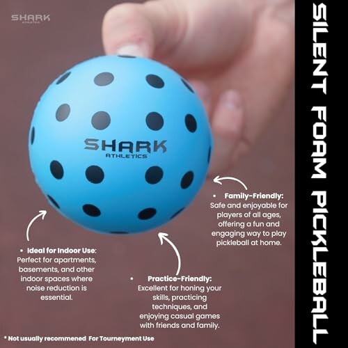 Premium Silent Pickleball Balls